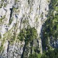 Koenigsee_August_2015-058.jpg