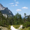 Koenigsee_August_2015-056.jpg